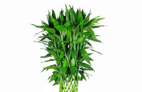 1650518879203381.png image.png