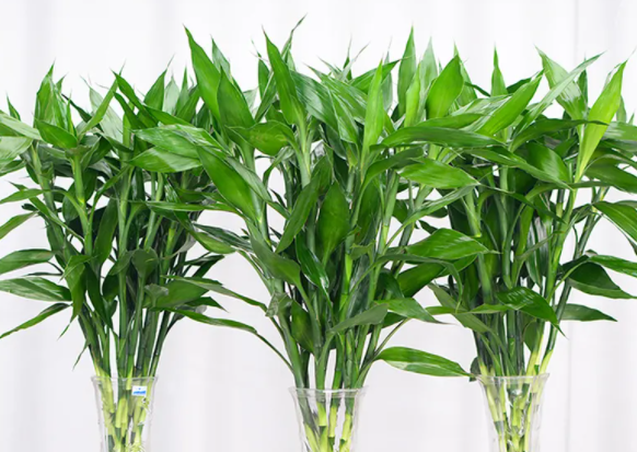 1650518942611715.png image.png